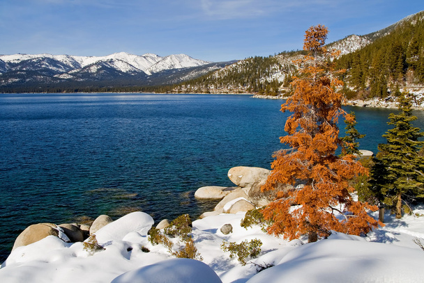 Jezioro tahoe - Zdjęcie, obraz