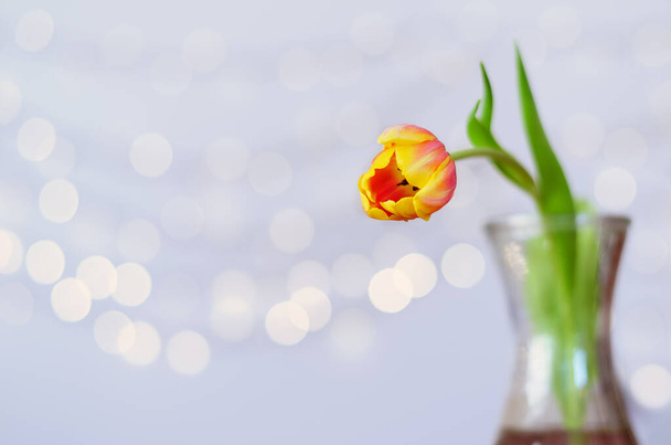 Top kilátás gyönyörű sárga tulipán egy vázában a fény háttér fénymásolási hely. Üdvözlőlap. Március 8. Anyák napja. Boldog Nőnapot!. - Fotó, kép