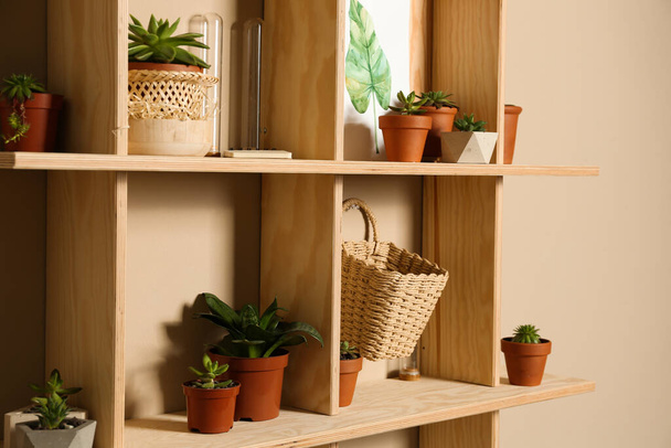 Wooden shelves with different decorative elements on beige wall, - Foto, immagini