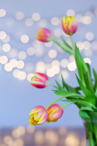 Κάτοψη του όμορφου ροζ, κίτρινες τουλίπες σε μπλε φόντο με bokeh. Ευχετήρια κάρτα. 8 Μαρτίου. Ημέρα της Μητέρας. Ευτυχισμένη ημέρα της γυναίκας. - Φωτογραφία, εικόνα