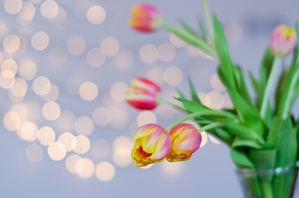 Widok z góry piękne różowe, żółte tulipany na niebieskim tle z bokeh. Kartka z życzeniami. 8 marca. Dzień Matki. Szczęśliwego Dnia Kobiet. - Zdjęcie, obraz