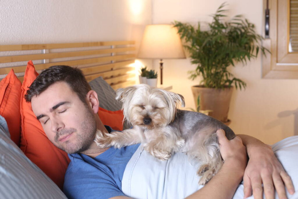 handsome young man with his dog relaxing in bed at home - Zdjęcie, obraz