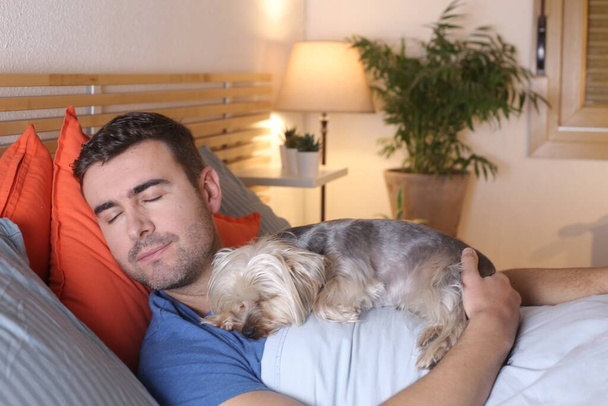 ハンサムな若い男と彼の犬は自宅でベッドでリラックス - 写真・画像