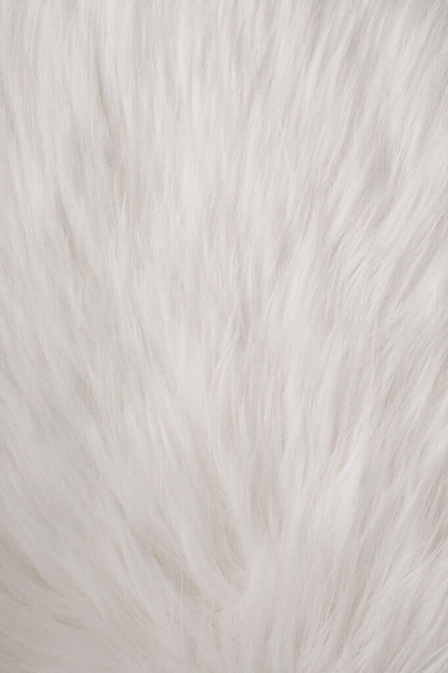 white fur texture full background. - Photo, Image