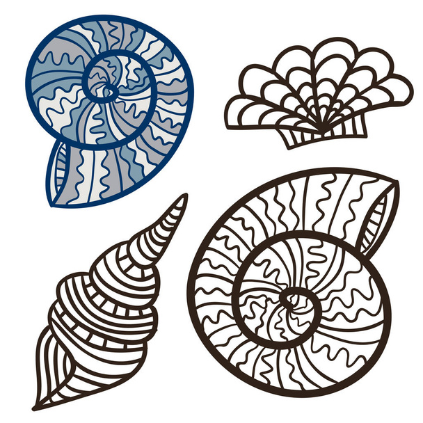 Sea shells isolated prints. Tattoo design. Kids coloring book page. - Vektori, kuva
