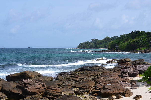 Näkymä kivinen rannikko merelle, rantaviivaa metsä oikealla, smaragdi vesi, meri vaahto - Valokuva, kuva
