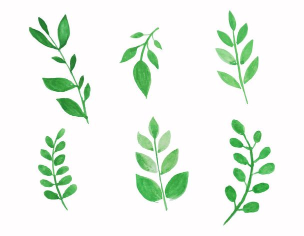  set of vector watercolor leaves. - Διάνυσμα, εικόνα