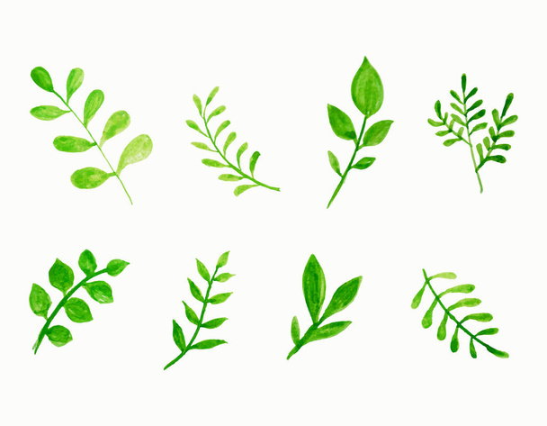  set of vector watercolor leaves. - Vector, Image