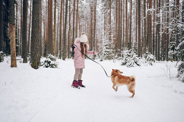 Счастливый семейный уикенд - маленькая симпатичная девочка в розовой теплой одежде, гуляющая весело с рыжей собакой шиба ину в белоснежном холодном зимнем лесу на улице. Детские спортивные мероприятия - Фото, изображение