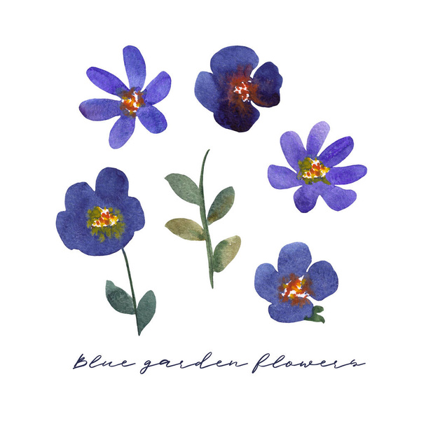 conjunto de flores azules acuarela pintada a mano - Foto, Imagen