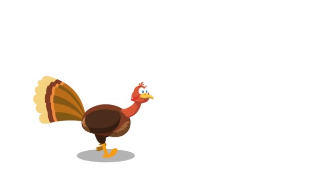 Thanksgiving Turkey Bird Cartoon Charakter läuft. 4K Animation Video Motion Graphics ohne Hintergrund - Filmmaterial, Video