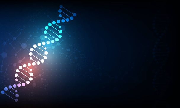 Abstract science wallpaper concept with a DNA molecules.vector illustration. - Vector, Image