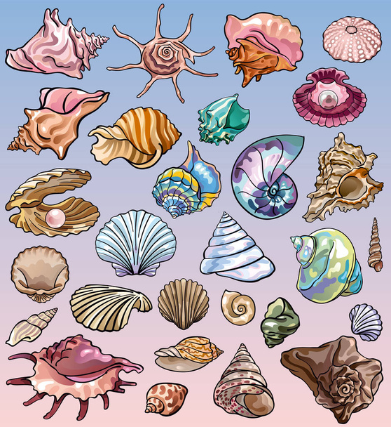 Set of vector illustrations of ocean underwater wildlife: various nacre molluscs, shells and mother of pearl from the beach. Summer vacations or cruise mood. Colorful hand drawings for custom design, print, stickers. - Vector, Image