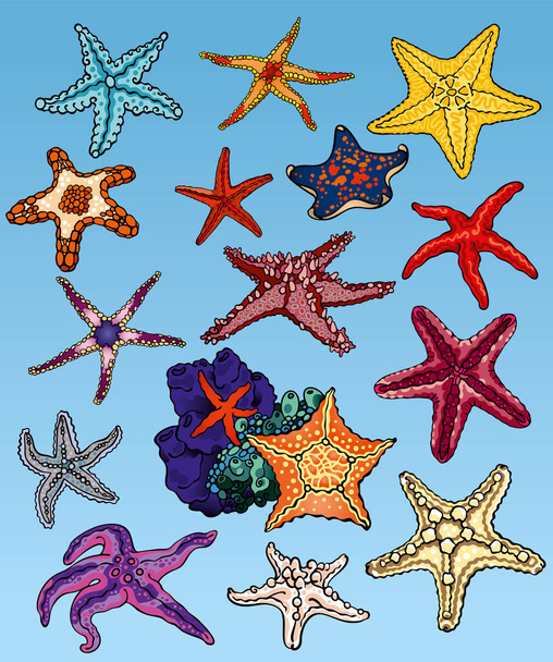 Set of vector illustrations of ocean underwater wildlife: various starfishes of coral reef. Summer vacations or cruise mood. Colorful hand drawings for custom design, print, stickers. - Vector, Image