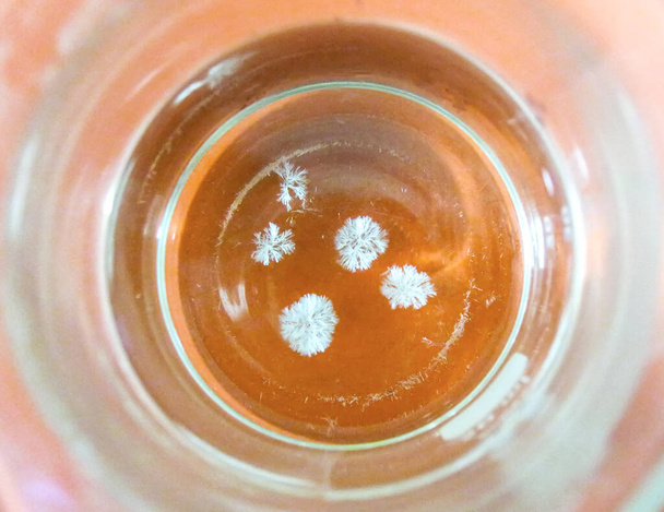 El proceso de cristalización comenzó en la parte inferior y en la superficie interna del vaso de precipitados. Copo de nieve cristales blancos en solución. - Foto, imagen