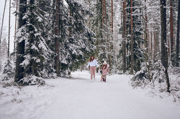 Feliz familia joven madre y niña linda en rosa cálido outwear caminar divirtiéndose con rojo shiba inu perro en nieve blanco frío bosque de invierno al aire libre. Deportes de familia actividades de vacaciones - Foto, Imagen