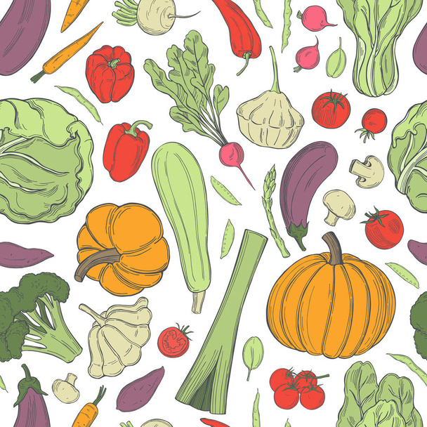 Hand drawn vegetables on white background. Vector seamless pattern. - Vector, Image