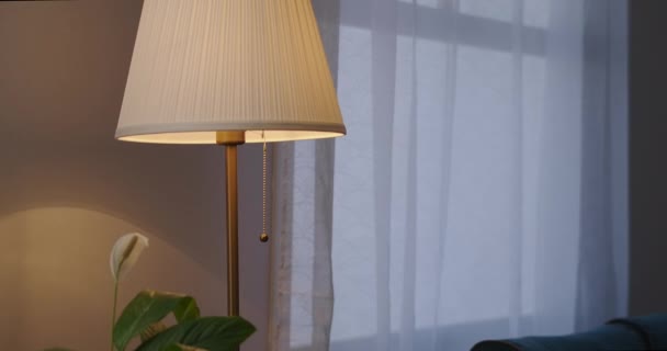 nő kikapcsolja padló lámpa a nappaliban este, részlet lövés, belső és bútor szoba - Felvétel, videó