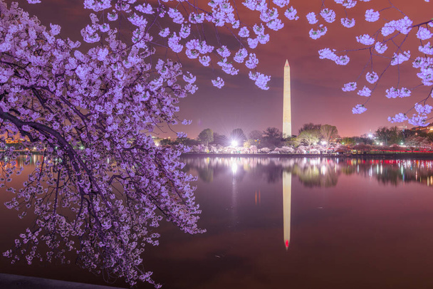 Вашингтон, округ Колумбия; США в приливном бассейне с памятником Вашингтону весной. - Фото, изображение