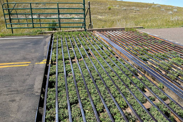 Cattle gate grid preventing on highway animals from leaving leased government owned pastures.  - Photo, Image