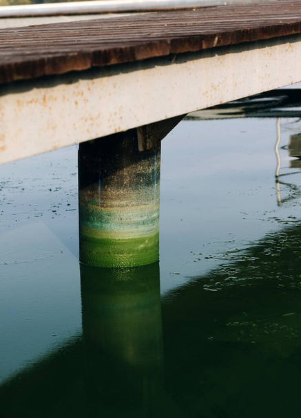 Feche a coluna colorida do cais da ponte do rio pelas flores da alga, superfície verde da água - Foto, Imagem