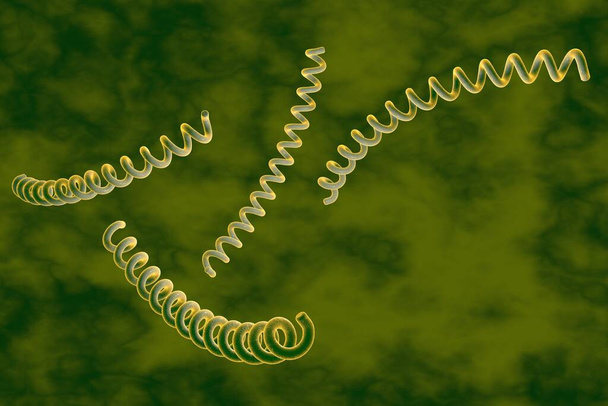 Treponema pallidum auf buntem Hintergrund, Syphilis verursachendes Bakterium, sexuell übertragbares Bakterium, Nahaufnahme. 3D-Illustration - Foto, Bild