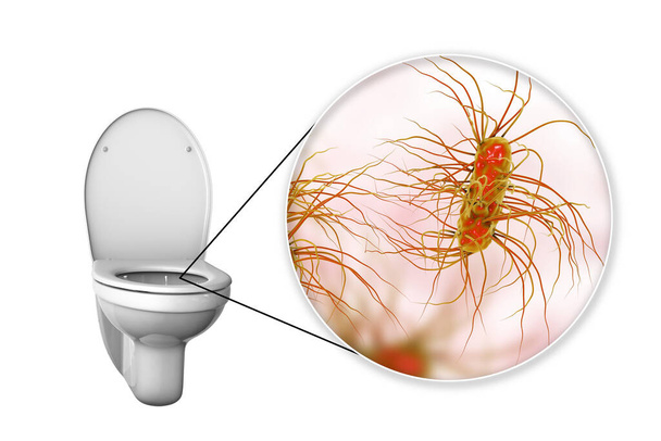 トイレの微生物、概念的な3Dイラスト。下痢性感染症の伝播.大腸菌、サルモネラ菌、シゲラ菌などの糞便口腔機構によって伝達される細菌のクローズアップ - 写真・画像