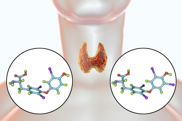 Molécules d'hormones thyroïdiennes T3 et T4. Triiodothyronine et thyroxine, illustration 3D - Photo, image