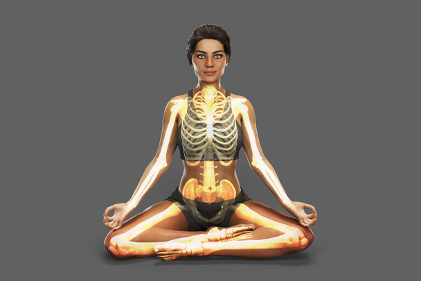 Женщина в позиции йоги лотоса, или Padmasana, с выделенными легкими, 3D иллюстрация. Дыхательные упражнения и медитация для восстановления и профилактики COVID-19 - Фото, изображение