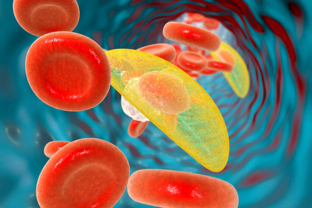 Toxoplasma gondii parasieten in het bloed, de veroorzaker van toxoplasmose ziekte, 3D illustratie - Foto, afbeelding
