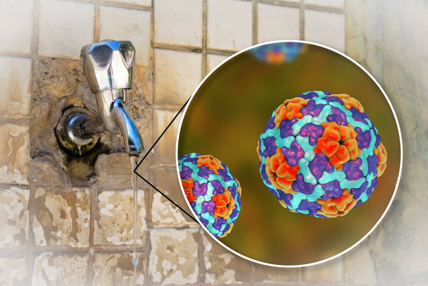 Concept de salubrité de l'eau potable, illustration 3D montrant des virus de l'hépatite A contaminant l'eau potable - Photo, image