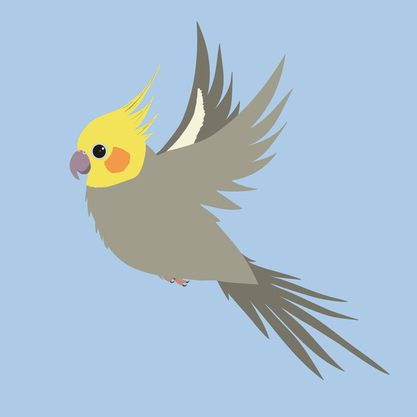 A vector illustration of a gray male cockatiel in flight - Vector, Imagen
