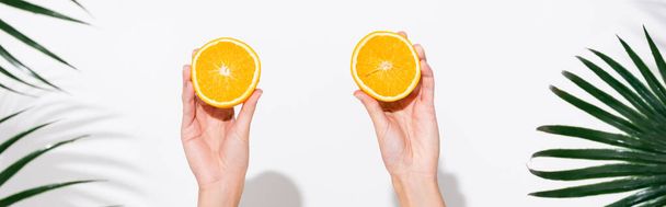 cropped view of female hands with halves of juicy orange near palm leaves on white, banner - 写真・画像