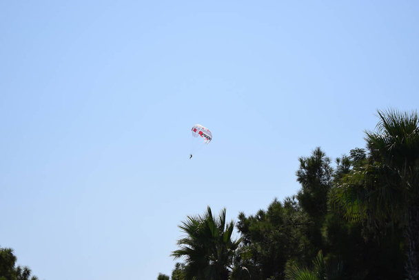 Parasailing en el cielo azul cerca de la playa. Parapentes volando alto en un hermoso cielo azul. La silueta del paracaidista contra el cielo azul y los árboles. - Foto, imagen