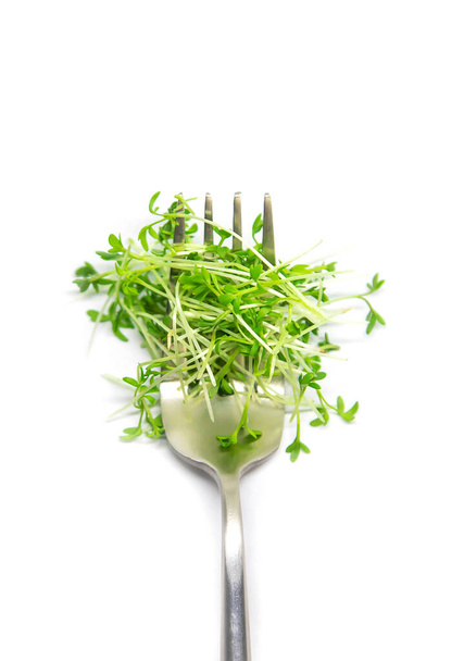 Watercress microgreen on white background isolate. Selective focus. nature. - Foto, afbeelding