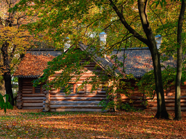 В осінньому лісі затишна дерев'яна дерев'яна хатина. Будинок Петра І в Коломенському в Москві.. - Фото, зображення
