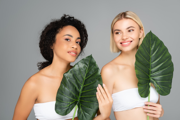 Smiling multiethnic women holding tropical leaves isolated on grey  - 写真・画像