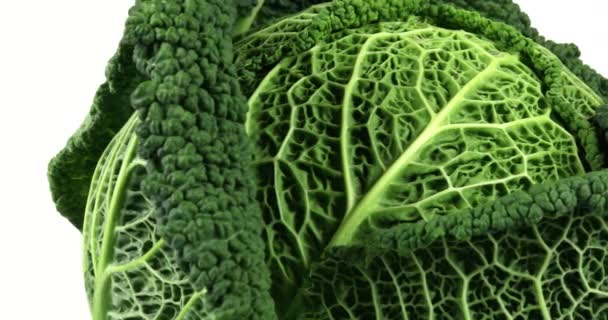 Biológiai zöld savoy káposzta forgó fehér háttér, izolált zöldségek közelről, 4k.  - Felvétel, videó