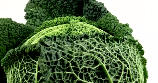Biológiai zöld savoy káposzta forgó fehér háttér, izolált zöldségek közelről, 4k.  - Felvétel, videó