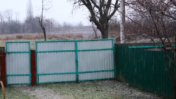 Υγρό χιόνι πέφτει στο έδαφος - Πλάνα, βίντεο