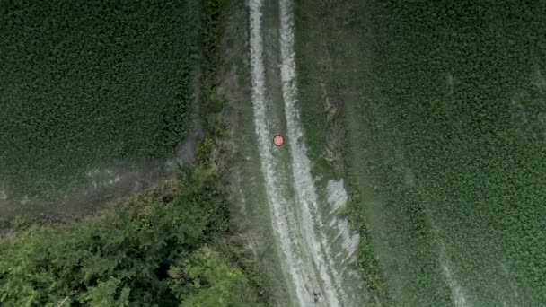 Drone aterrizando en una pequeña calle entre campos. - Imágenes, Vídeo