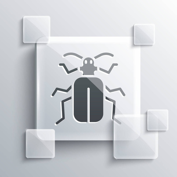 Icono del escarabajo Chafer gris aislado sobre fondo gris. Paneles cuadrados de vidrio. Vector. - Vector, Imagen