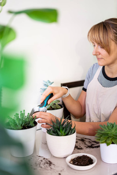 Woman take care of plants - Photo, Image