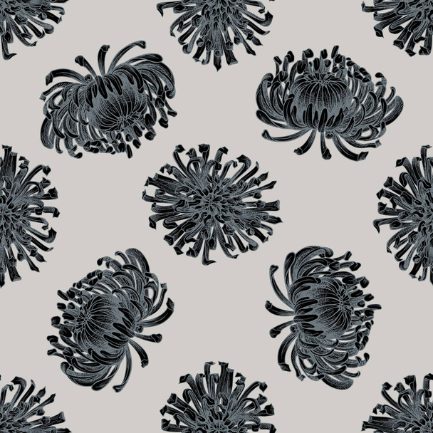 Seamless pattern with hand drawn stylized aster - Вектор,изображение
