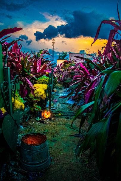 μονοπάτι ανάμεσα σε λουλούδια με χρωματιστά φύλλα με κεριά - Φωτογραφία, εικόνα