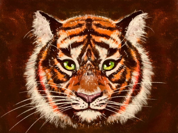 portret van oranje bruine pluizige tijger. Portret van een dier op een donkere achtergrond, grunge tekening. - Foto, afbeelding