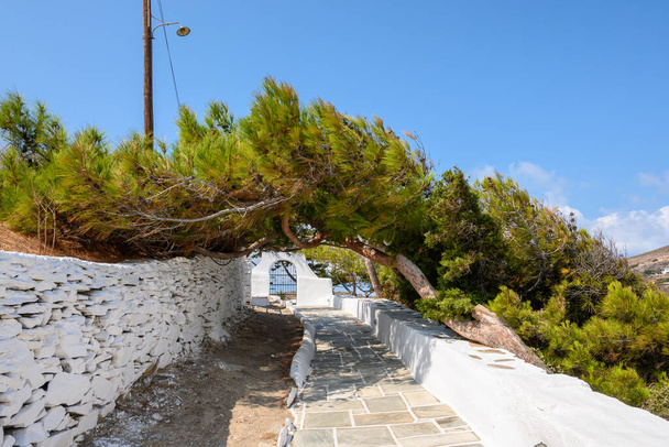 Niesamowita roślinność przed kościołem Agia Irini (Saint Irene) w pobliżu portu Ios. Cyklady, Grecja - Zdjęcie, obraz