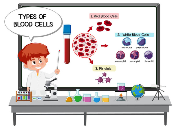 Молодой ученый объясняет типы клеток крови перед доской с иллюстрацией лабораторных элементов - Вектор,изображение