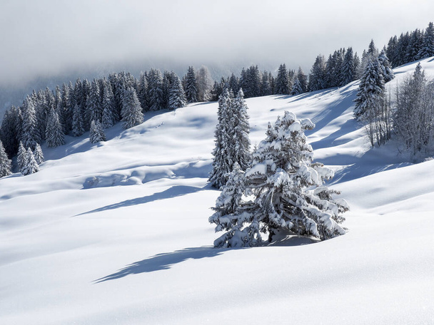 Schamserberg, Switzerland: Winter landscape of the Schamserberg and Piz Beverin nature park. - 写真・画像