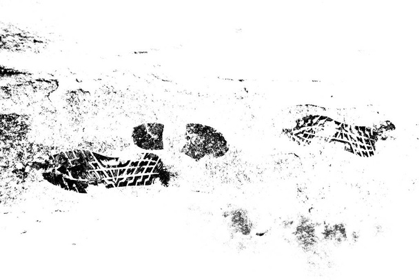 Fondo abstracto. Textura monocromática. La imagen incluye un efecto de los tonos blanco y negro. - Foto, Imagen